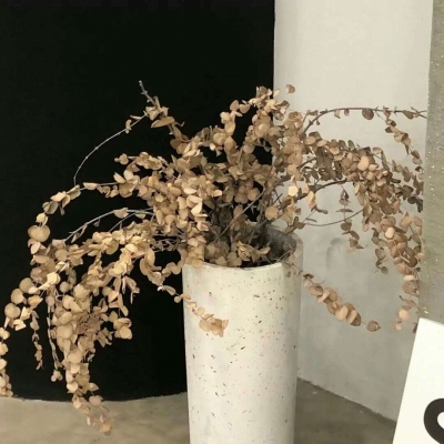 Furry绘画质感提升福瑞群